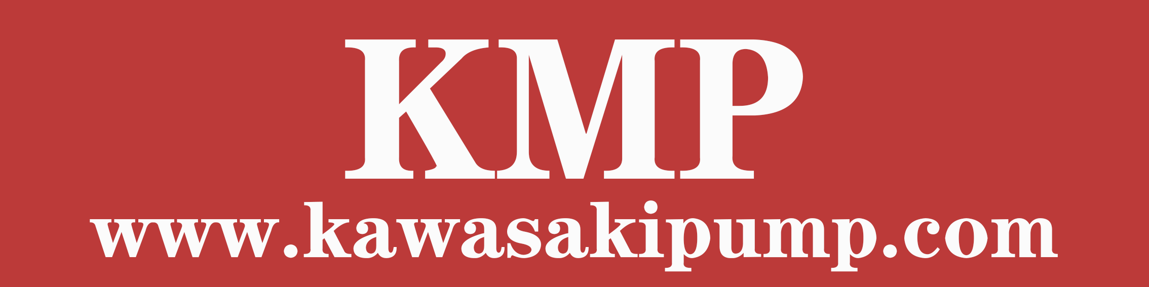 Kawasakipump.com